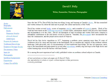 Tablet Screenshot of davidpelly.com